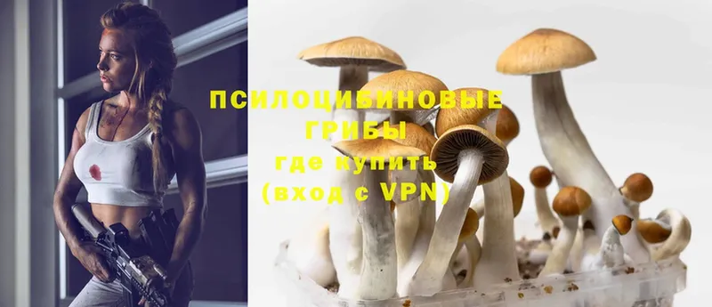 Галлюциногенные грибы Psilocybine cubensis  Лагань 