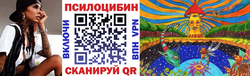 купить закладку  Лагань  Галлюциногенные грибы Magic Shrooms 